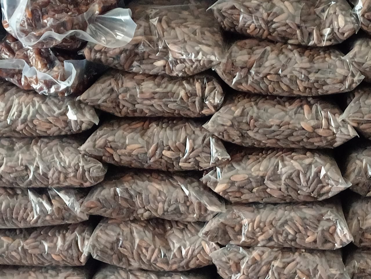 pine nut (chilgoza)half kg - Image 4